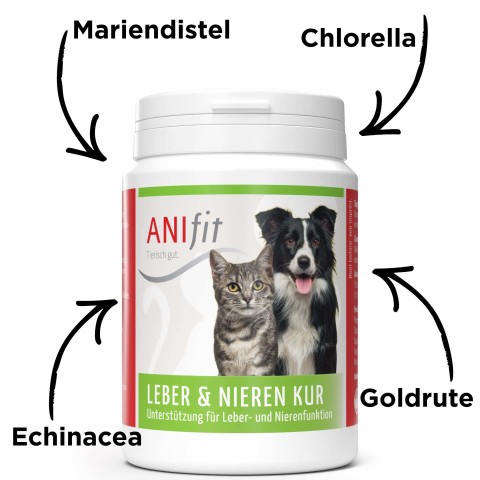 Hond Kat Voedingssupplementen Fit Start 50g 1 Stuk -3- Anifit